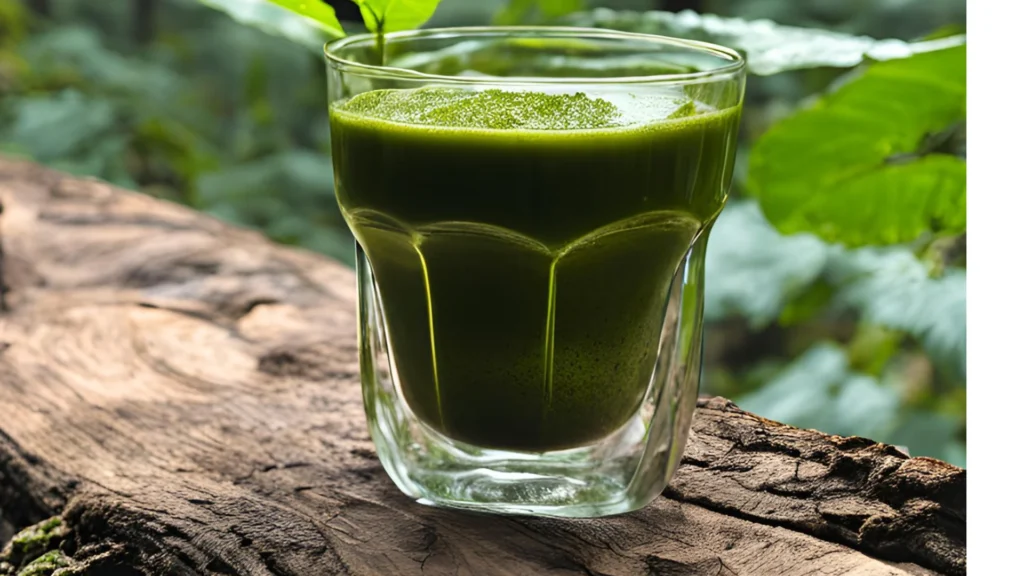 Wild Kratom Přednosti kratomu z volně rostoucích stromu v džungli