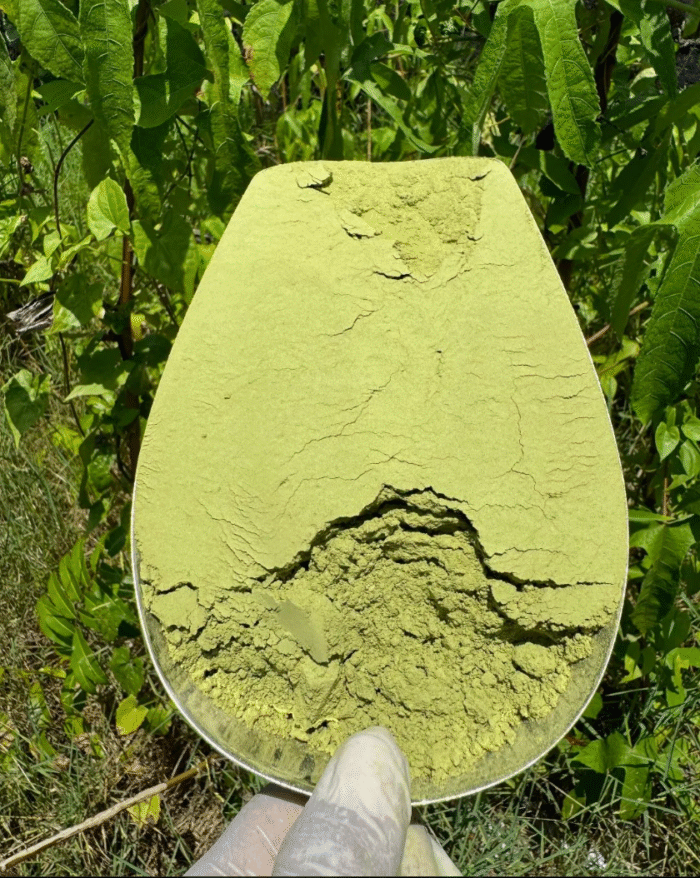Zelený Kratom Exclusive