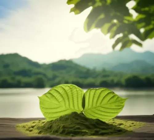 vse_o_zelenem_kratomu_captain_green